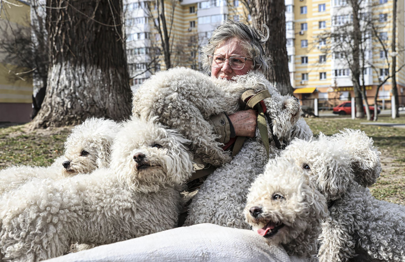 Η Ταμάρα Ναζαρόβα αγκαλιά με 24 σκυλιά, 12 εκ των οποίων είναι δικά της, στο Κίεβο. Η ουκρανή φιλόζωος αναγκάστηκε να εγκαταλείψει την πόλη Ιρπιν λόγω βομβαρδισμών, ζει σε σκηνή στο Κίεβο και ελπίζει να λάβει υποστήριξη για τους τετράποδους φίλους της από ιδρύματα 